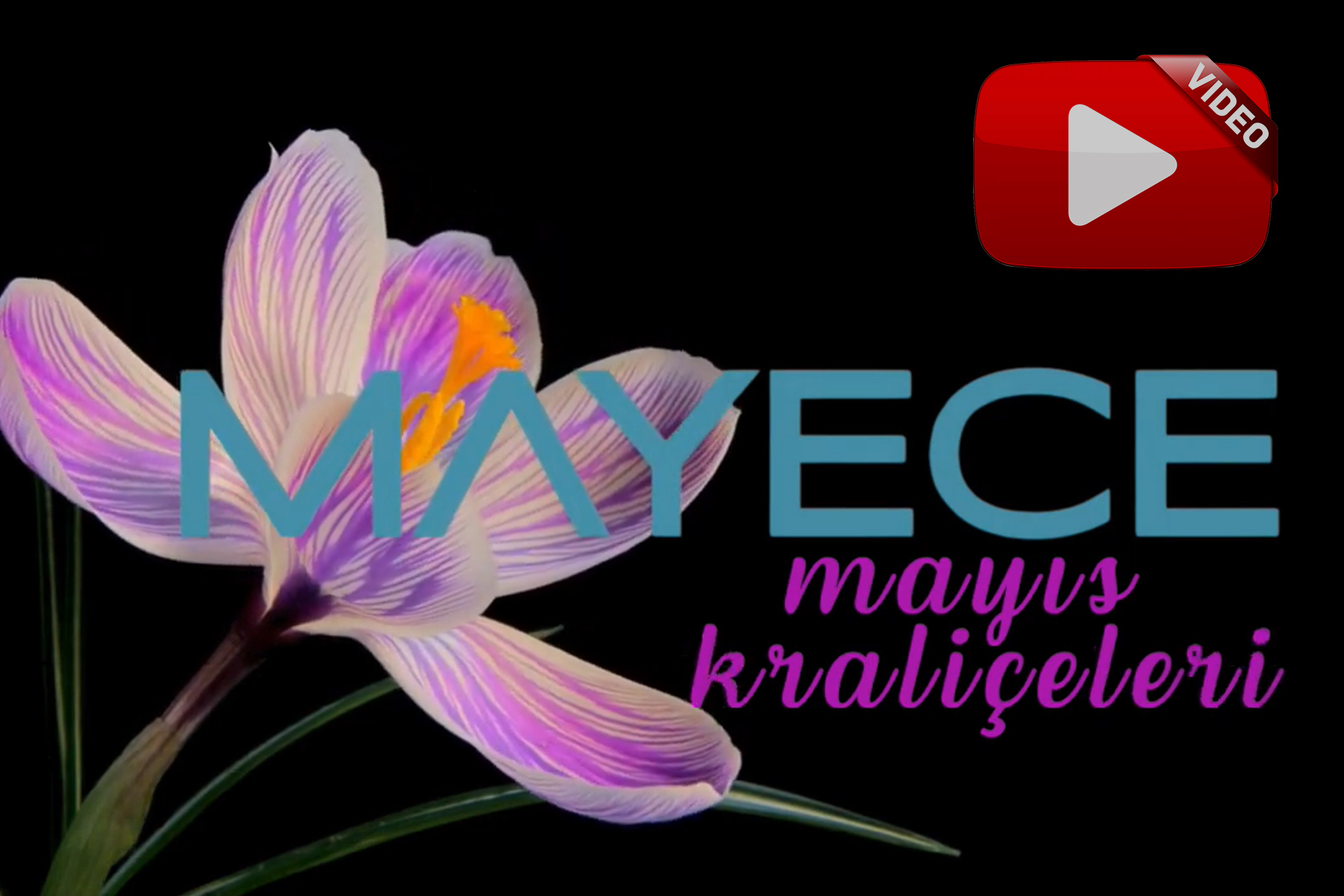 MAYECE Tanıtım Videomuz